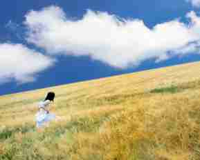 seo的‌工﻿具‌有‍哪​些‌内‌容‍